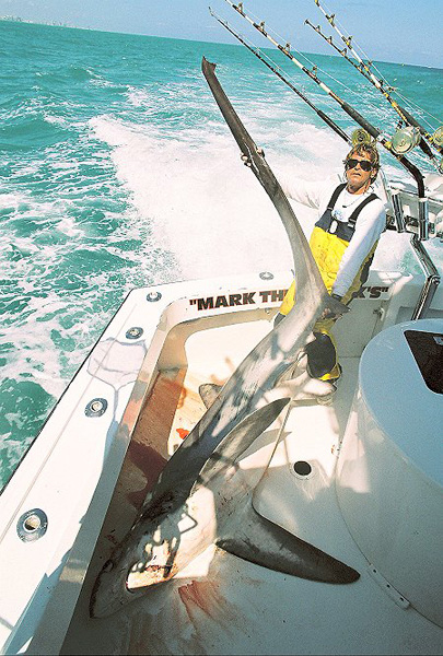 MARK THE SHARK 336 THRESHER