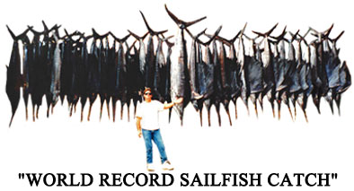 Record Sailfish Catch Mark the Shark