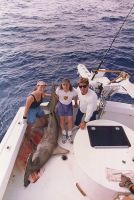 Filename=AEROSMITH_S_JOEY_KRAMER_and_THE_SHARK_HUNTER.jpg
Filesize=30KiB
Dimensions=268x400
Date added=Jan 11, 2009 AEROSMITH_S_JOEY_KRAMER_and_THE_SHARK_HUNTER.jpg