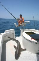 MIAMI_REEF_SHARK_TAG_AND_RELEASE.jpg