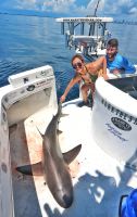 Filename=MIAMI_SANDY28129-012.jpg
Filesize=410KiB
Dimensions=882x1398
Date added=Aug 12, 2019 MIAMI_SANDY28129-012.jpg