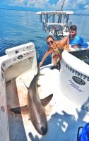 Filename=MIAMI_SANDY28229-011.jpg
Filesize=414KiB
Dimensions=882x1398
Date added=Aug 12, 2019 MIAMI_SANDY28229-011.jpg