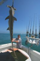 Filename=MICHAEL_KALB_GREAT_HAMMERHEAD.jpg
Filesize=17KiB
Dimensions=266x400
Date added=Mar 24, 2013 MICHAEL_KALB_GREAT_HAMMERHEAD.jpg