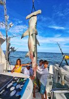 Filename=Taylor-011~0.jpg
Filesize=110KiB
Dimensions=372x525
Date added=Aug 12, 2019 Taylor-011~0.jpg