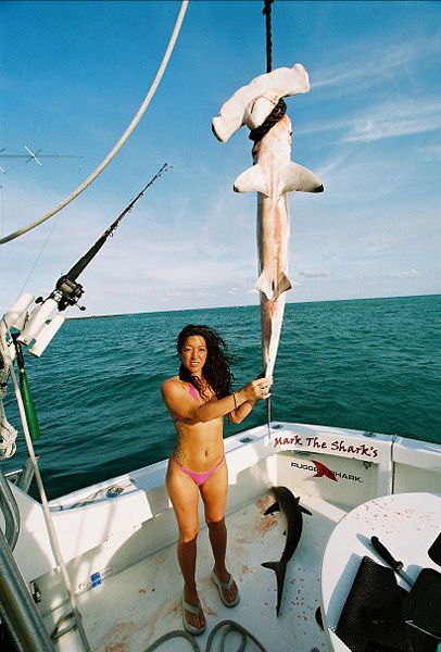 HOTTY WITH HAMMERHEAD