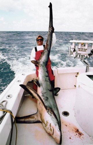 http://www.marktheshark.com/new/images/meet_marktheshark/MARK%20THE%20SHARK%20with%20MONSTER%20THRESHER%20SHARK.jpg