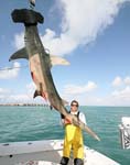 MARK THE SHARK AND ANOTHER GIANT GREATER HAMMERHEAD SHARK-1