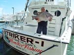 PENDING WORLD RECORD TRIGGER FISH