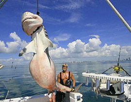 Hall-of-Fame-Catch