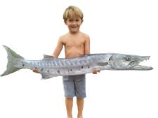 Kids and Barracudas