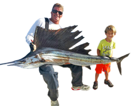 Sailfish