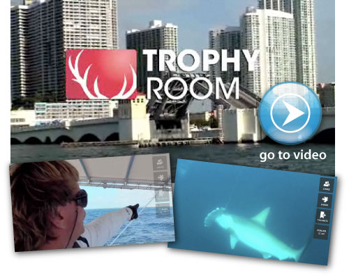 See Captain Mark the shark catch a monster shark on TrophyRoom.com