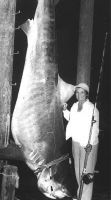 largestfish.jpg