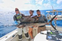 Filename=BEACH_SAILfish-01.jpeg
Filesize=544KiB
Dimensions=1440x960
Date added=Oct 25, 2017 BEACH_SAILfish-01.jpeg