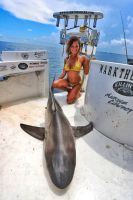 Filename=BRAZILIAN_ONE-01.jpeg
Filesize=22KiB
Dimensions=266x400
Date added=Jul 02, 2017 BRAZILIAN_ONE-01.jpeg