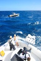 COCO_FIGHTING_HIGH_SEAS_SAILFISH_WITH_CHASE_BOAT_IN_PURSUIT_(2).jpg