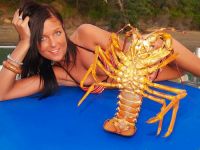 Filename=CRAWFISH.jpg
Filesize=25KiB
Dimensions=400x300
Date added=Nov 29, 2010 CRAWFISH.jpg