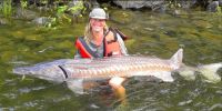 Filename=GINA.jpg
Filesize=22KiB
Dimensions=400x200
Date added=Oct 12, 2012 GINA.jpg