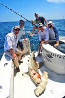 Filename=John_and_friends-011.jpg
Filesize=166KiB
Dimensions=543x814
Date added=Jul 08, 2019 John_and_friends-011.jpg