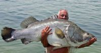 Filename=Lake_Nasser_28.jpg
Filesize=17KiB
Dimensions=325x173
Date added=Nov 02, 2010 Lake_Nasser_28.jpg
