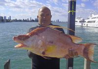 Filename=MONSTER_HOG_SNAPPER.jpg
Filesize=24KiB
Dimensions=400x282
Date added=Dec 10, 2010 MONSTER_HOG_SNAPPER.jpg