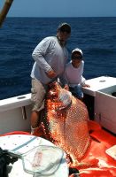 Filename=RARE_MIAMI_OPAH.jpg
Filesize=27KiB
Dimensions=263x400
Date added=Jun 14, 2011 RARE_MIAMI_OPAH.jpg
