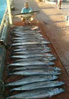 Filename=WAHOO~0.jpg
Filesize=26KiB
Dimensions=282x400
Date added=Jan 12, 2012 WAHOO~0.jpg