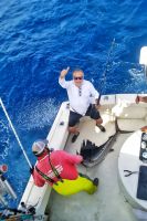 Filename=sail.jpeg
Filesize=684KiB
Dimensions=1080x1622
Date added=Apr 30, 2021 sail.jpeg